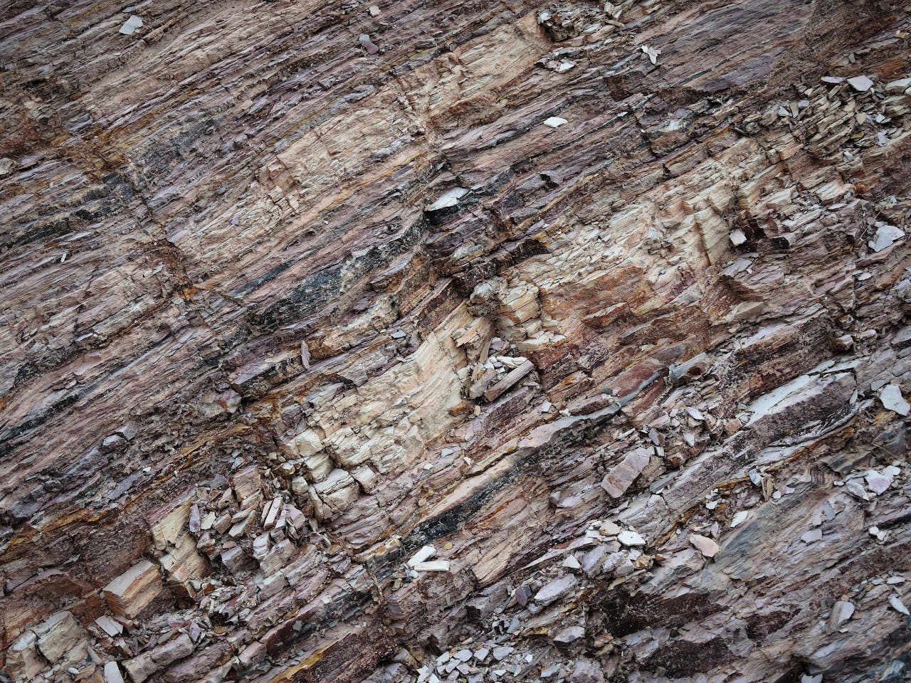 Close-up view of a textured, layered geological rock surface showcasing erosion and sedimentary features.